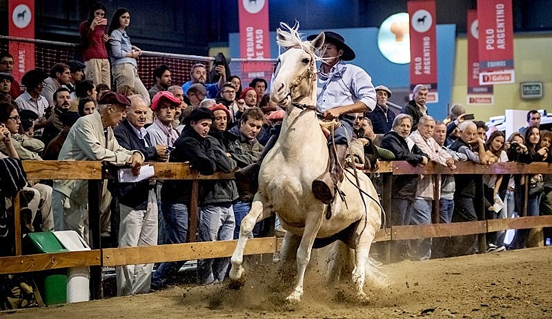 Muestra "Nuestros Caballos"