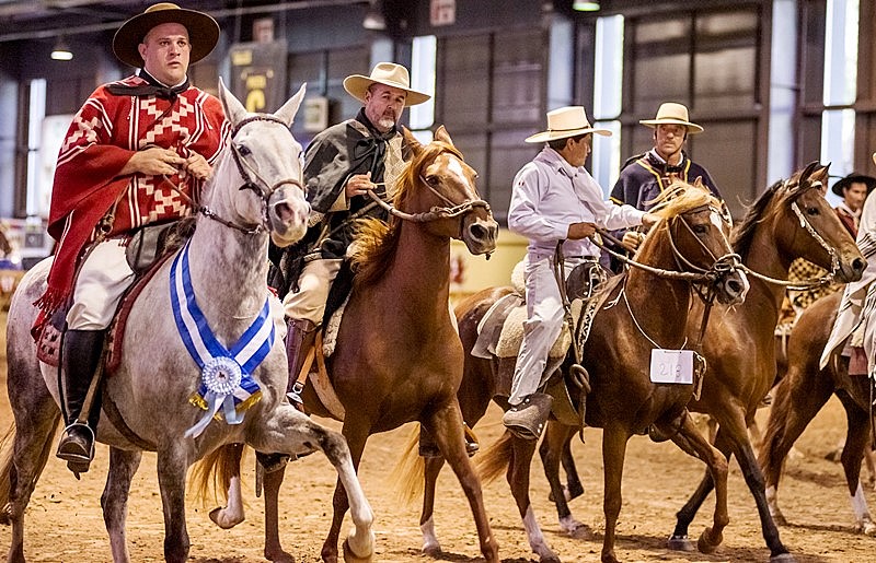 Muestra "Nuestros Caballos"