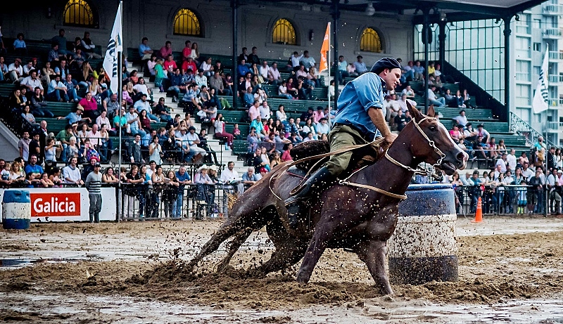 Muestra "Nuestros Caballos"