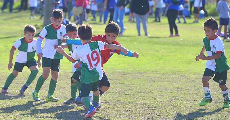 Campeonato de baby fútbol