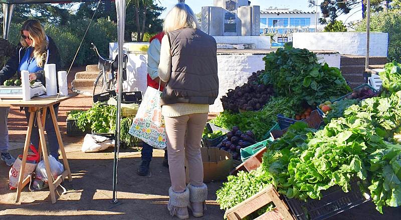 Producción hortícola