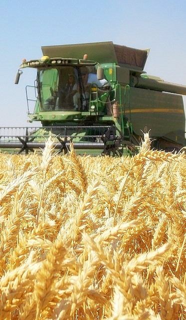 Maquinaria agrícola barata