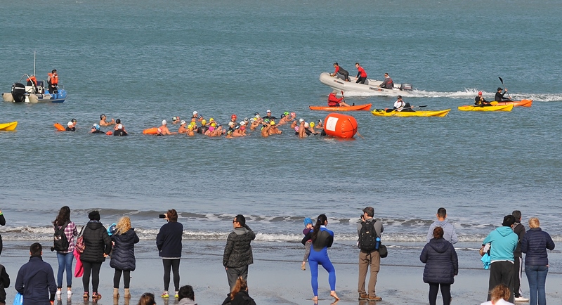 Campeonato de aguas abiertas y frías