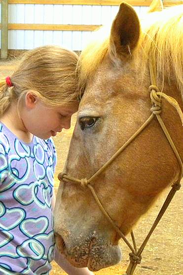 Caballo: Concurso poético