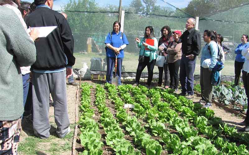 Capacitación en huerta agroecológica.