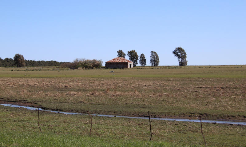 Campo en Coronel Dorrego