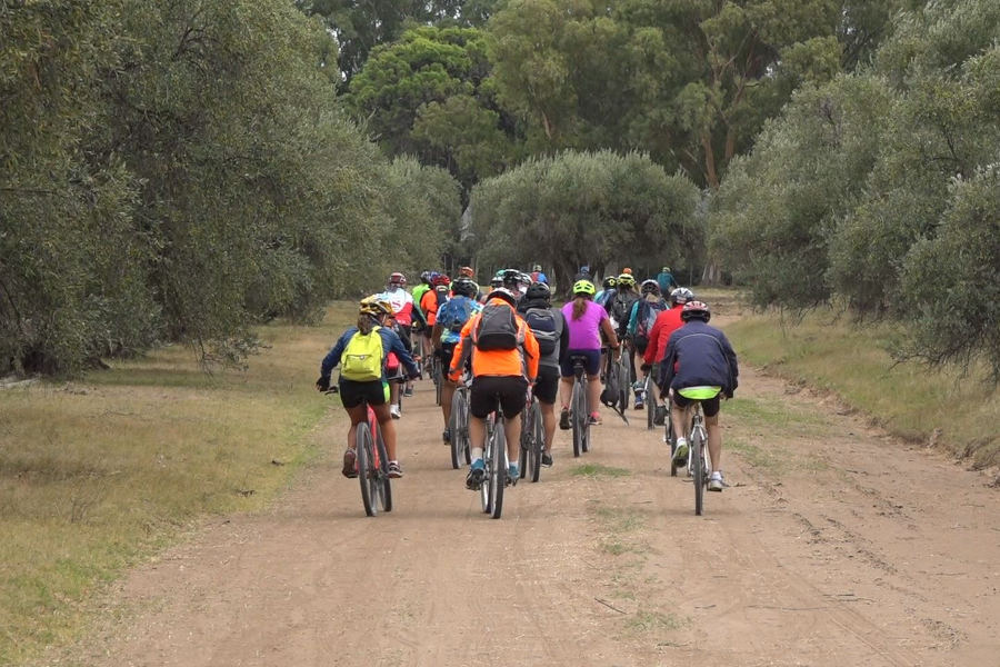 Cicloturismo por los olivares de Coronel Dorrego