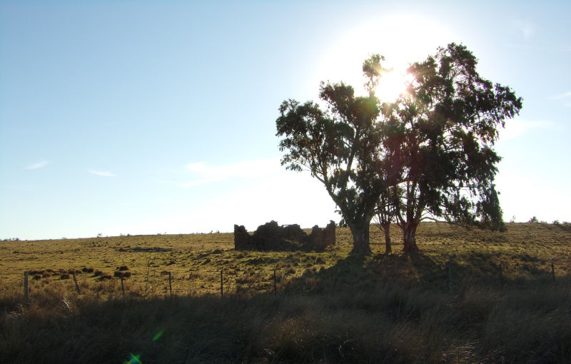 Sudoeste bonaerense