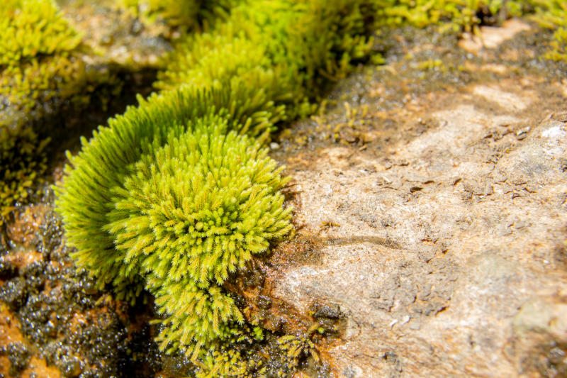 Reserva natural Las Piedras